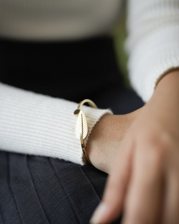 Aris Bangles