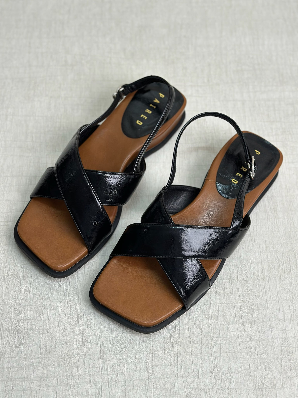 Avela Platform by Paired